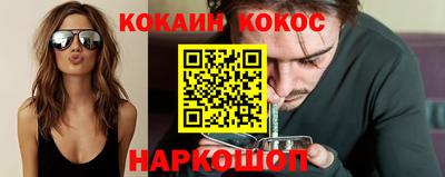 стафф Кингисепп