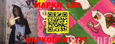 стафф Кингисепп