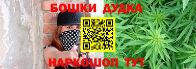 стафф Кингисепп