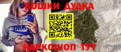 стафф Кингисепп