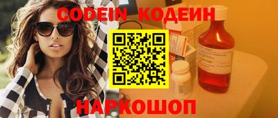 стафф Кингисепп