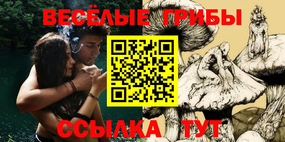 Галлюциногенные грибы Cubensis Кумертау